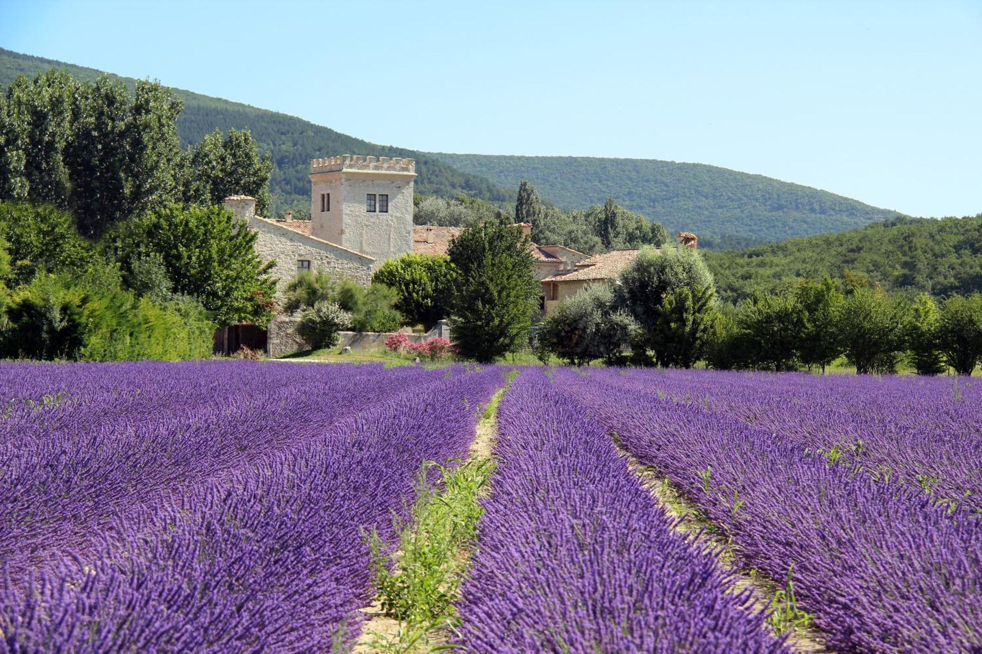 La Colombiere - Vue Imprenable Sur L'Ardeche - Tres Calme - Tres Bien Situe - Residence Privee Montélimar Kültér fotó